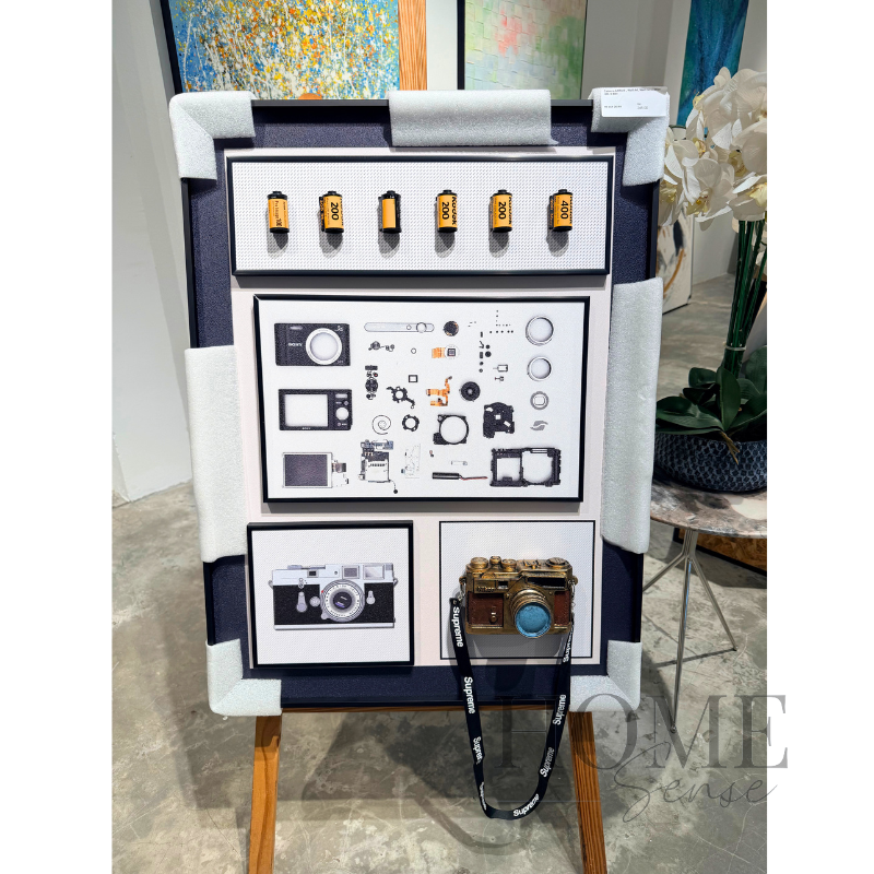 Camera Artwork, Wall Art, Wall Decoration
