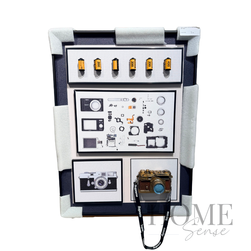 Camera Artwork, Wall Art, Wall Decoration